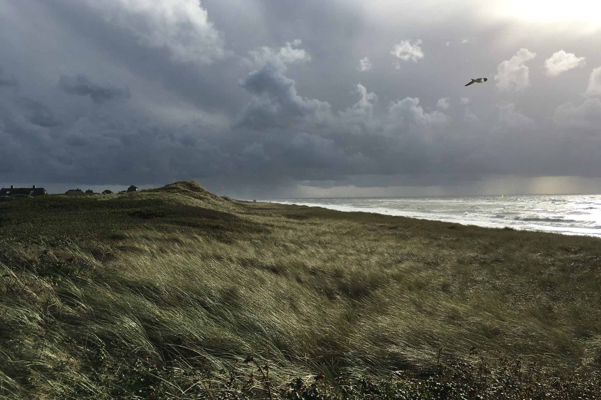 Dünenlandschaft am Meer im Sturm in düsterer Stimmung.